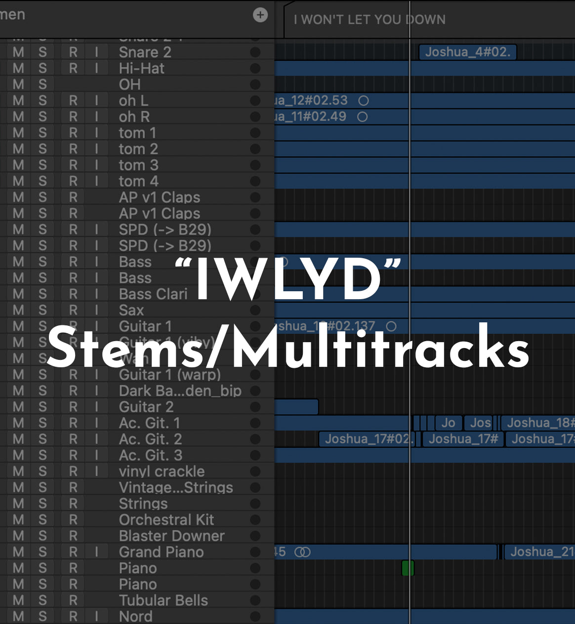 "I WON'T LET YOU DOWN" Stems / Multitracks