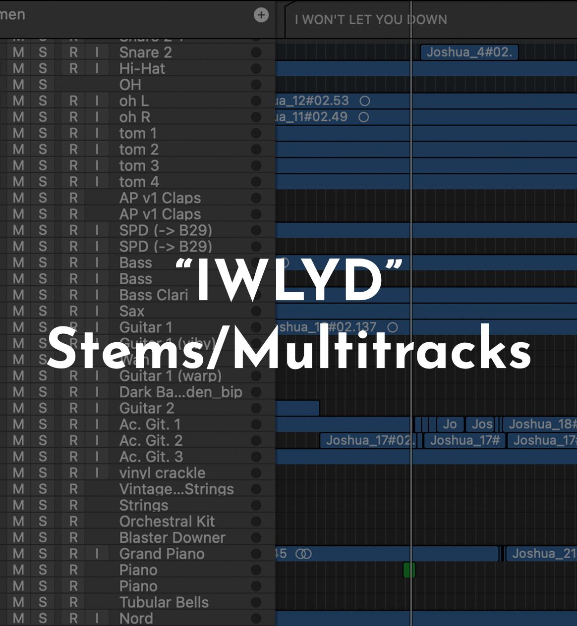 "I WON'T LET YOU DOWN" Stems / Multitracks