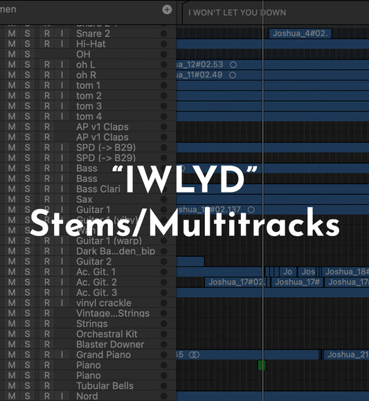 "I WON'T LET YOU DOWN" Stems / Multitracks